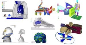 Simulations biomécaniques